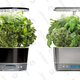 AeroGarden Harvest Elite 360 | $85 | Amazon
AeroGarden Harvest Elite | $90 | Amazon